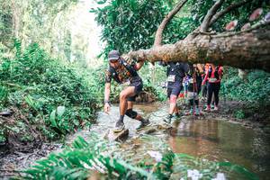 BIB: 
                            <button type="button" onclick="openModal(25515107)" class="btn btn-primary btn-sm float-right btn-popup" data-toggle="modal" data-target=".modal-high-quality">
                        <i class="fas fa-shopping-cart"></i> Add to Cart
                    </button>
                                            <button type="button" onclick="isThisMe(25515107, true)" class="btn btn-success btn-sm float-right btn-popup btn-isme hidden" data-toggle="tooltip" data-placement="bottom" title="นี่คือรูปของคุณใช่ไหม คลิกที่นี่เพื่อเอาเข้าอัลบั้ม">
                        <i class="fas fa-plus"></i> Add to album
                    </button>
                    <button type="button" onclick="isThisMe(25515107, false)" class="btn btn-warning btn-sm float-right btn-popup btn-isnotme hidden">
                        <i class="fas fa-ban"></i> Remove from album
                    </button>